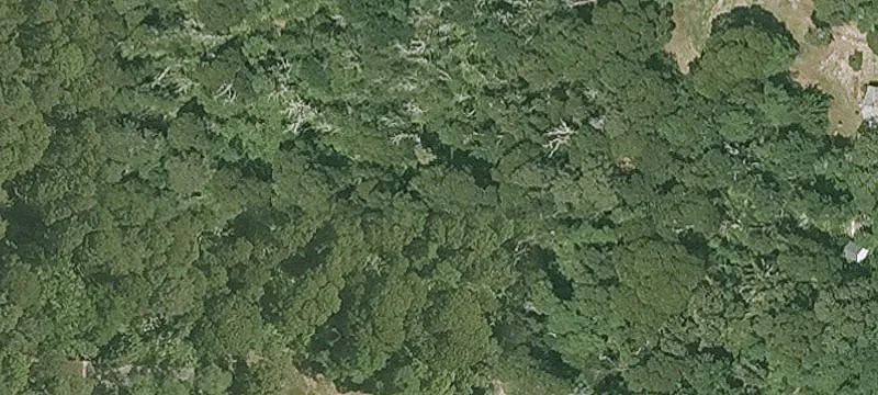 50 Bracket Rd