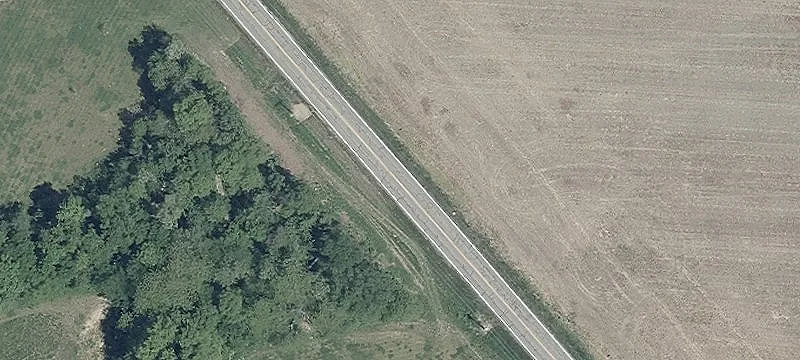 Marion Rd
