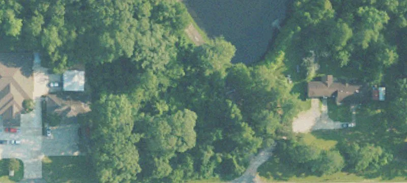 1248 Ms-42