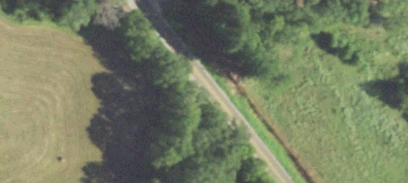 Garrison, TX 75946