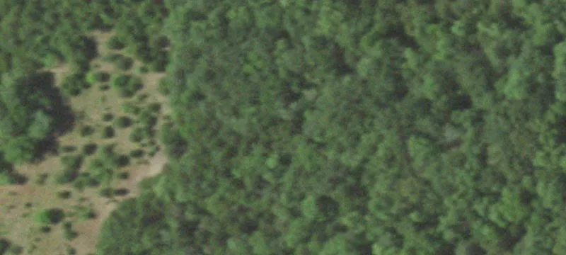 248 Tbd State Hwy