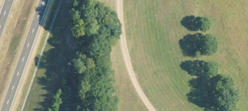 22 Forest Plantation Rd