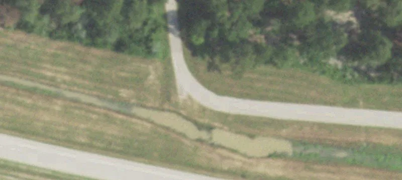 19501 Lindsey Rd