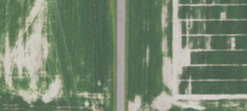 Hagemann Rd
