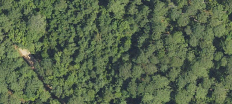 75 Acres In Scott County