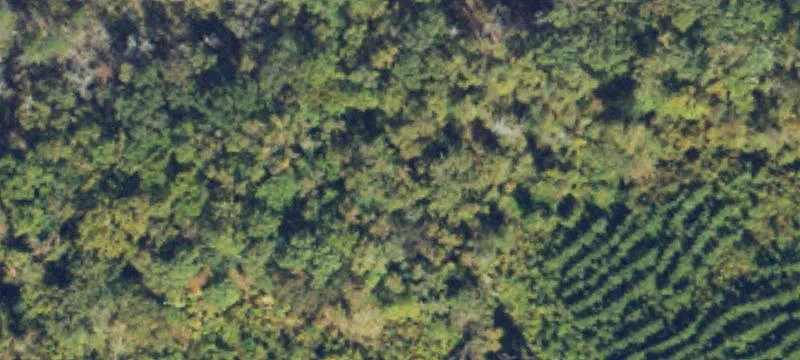 Kurt Williams Rd