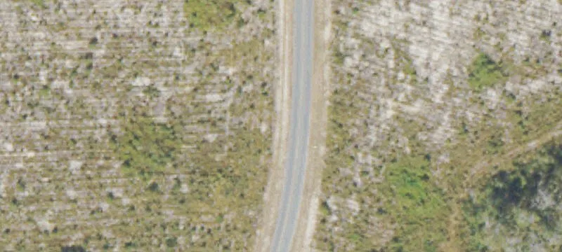 Saddle Club Rd