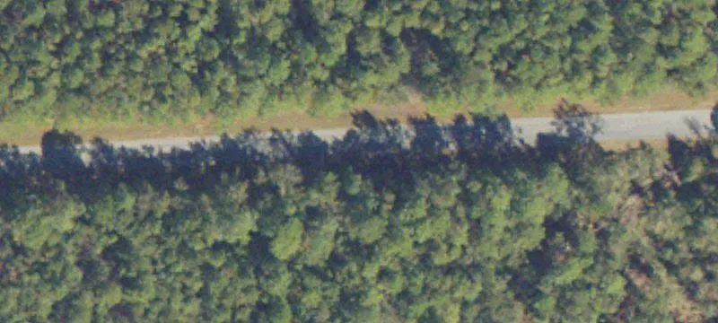 Dasher Johnson Rd