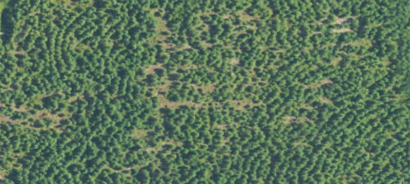 75.29 Acres In Jones