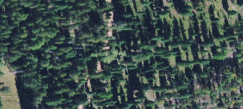 645 Glacier-Elk Rd