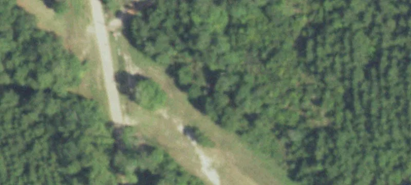 21888 Bragg Rd