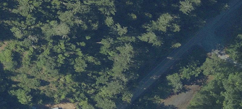 Kent Creek Rd