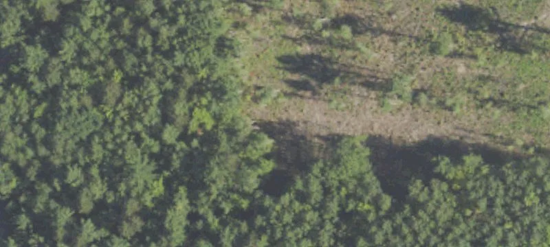 40 Acres