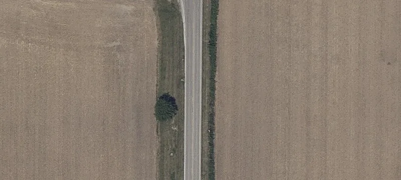 Durnwald Dr