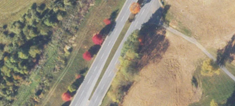 Lew Dewitt Blvd