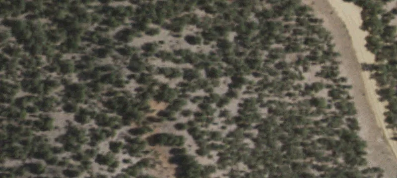 76 Nm 511