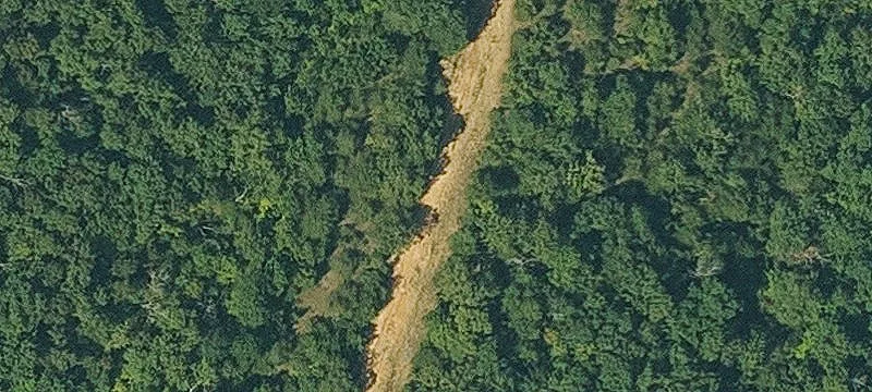 Red Fox Rd