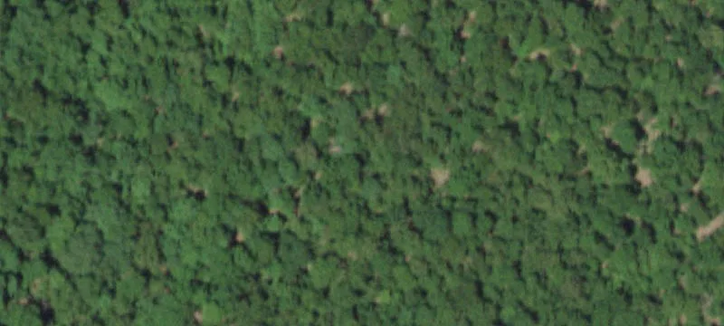 541 Co Rd