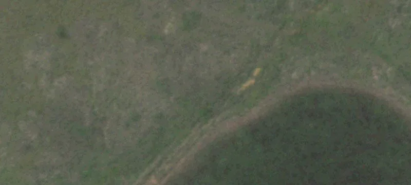 Amarillo, TX 79118