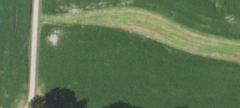 000 Starling Dr