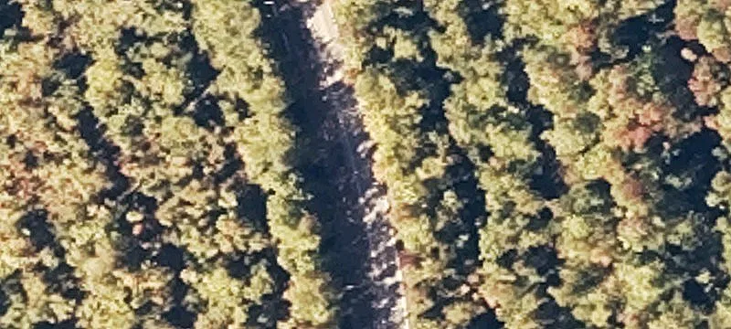 Grindstone Rd