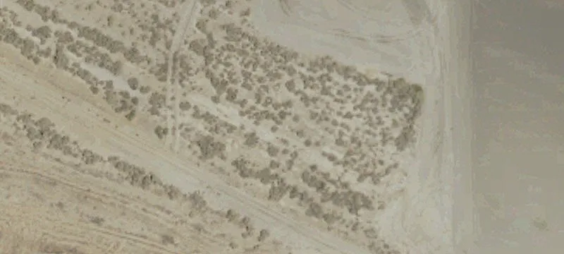 Buttonwillow Dr