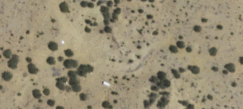86 Ponderosa Rnch Path