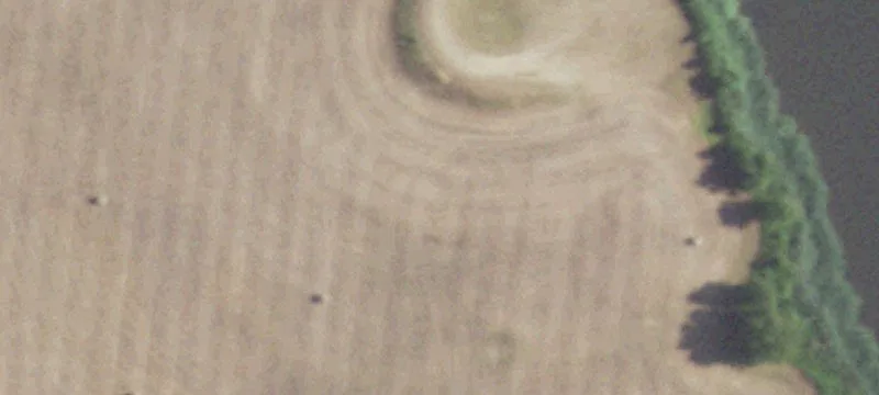19 Canton Tx 75103