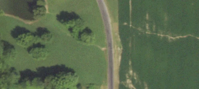 501 Schwartz Rd