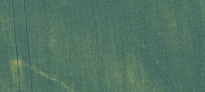 Highway F48