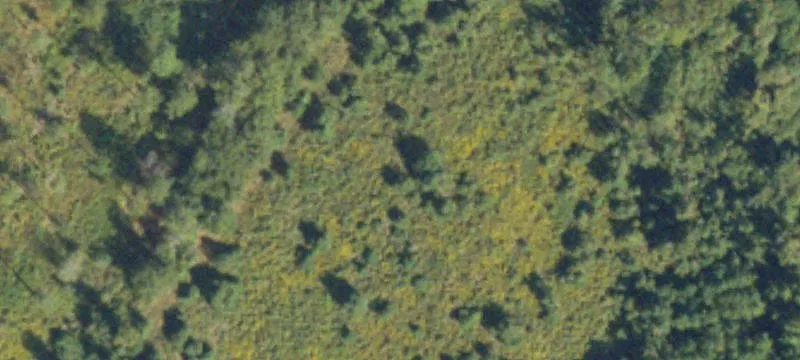 Hunters And Investor Paradise In Burke County Ga