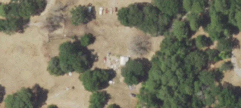 Palestine, TX 75801