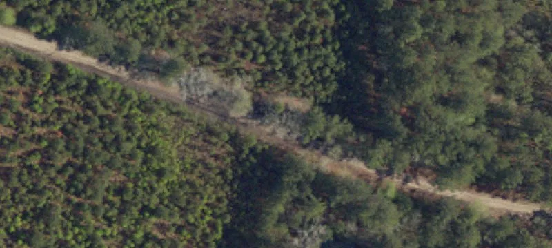 Lost Horn Rd