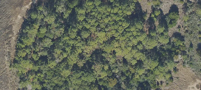 Timber Island Rd