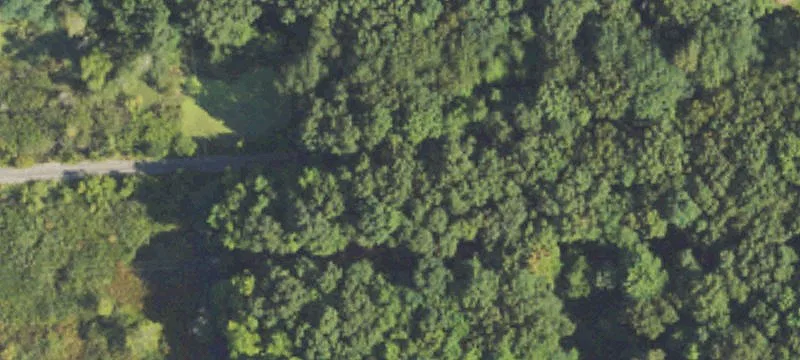 115 ± Acres Located At Nixon & Seim Rd