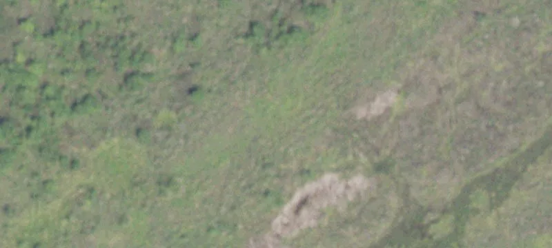 2134 Vis