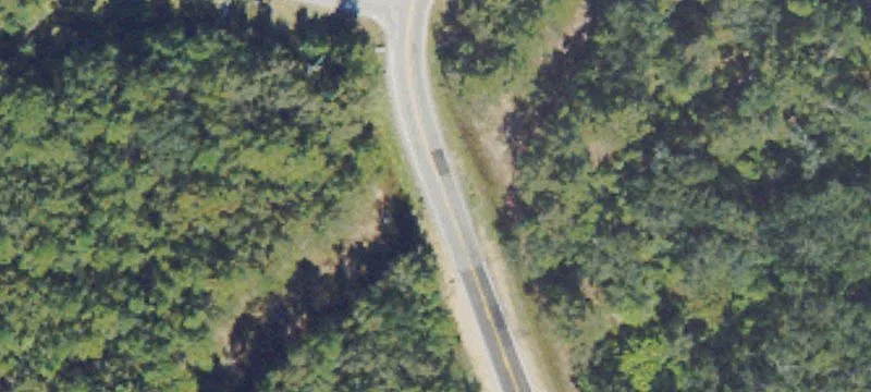 Bill Carter Rd
