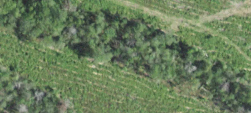 County Road 4085