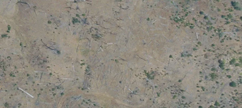 21389 St