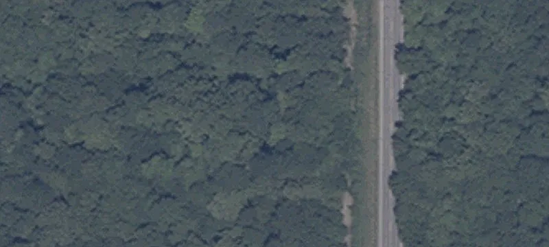 State Road 161