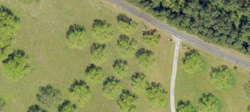 Abbeville- Horseshoe Rd