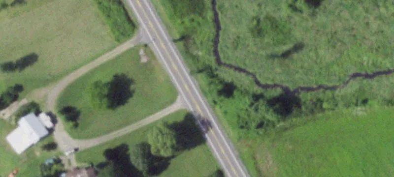 Ny-264