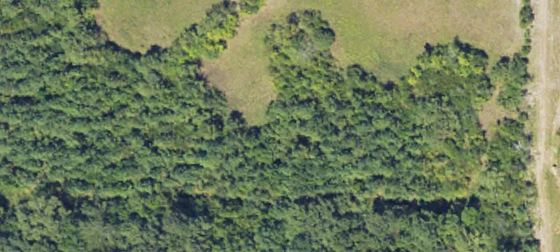 88.8 Acres In Newton County