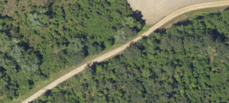 Half Acre Ct