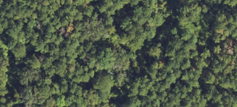 Address Not Disclosed