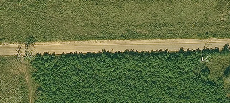 80 Acers