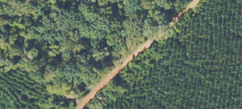Mercer-Bennett Tract
