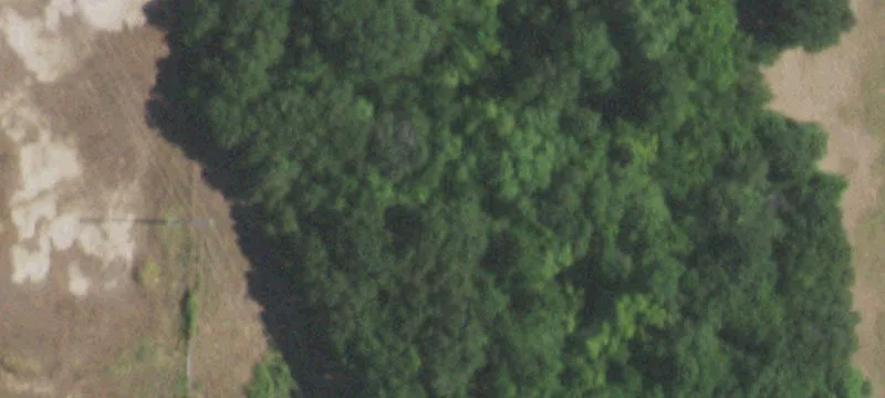 2626 Fm 816