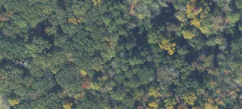 Ga-211