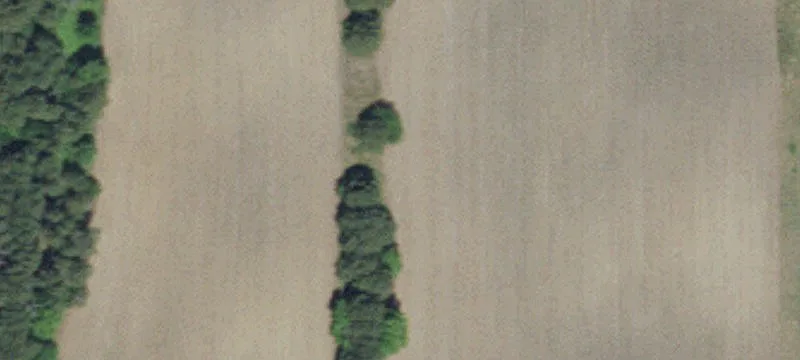 1x Highway 65